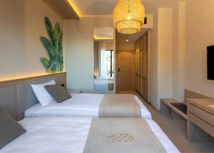 Hancioglu Orman Evleri  Trabzon