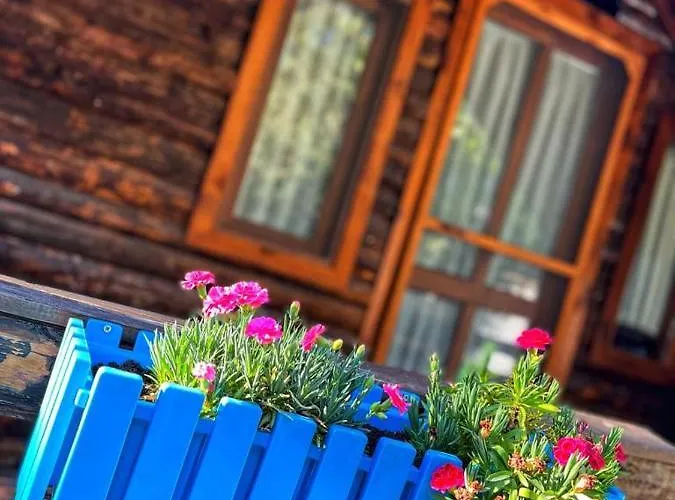 Zeytindağı bungalow Mehmetalani