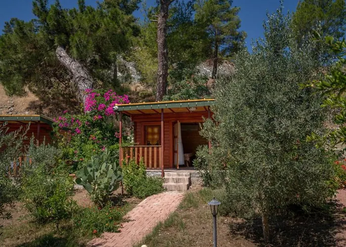 Felicity Hotel & Bungalows Kemer