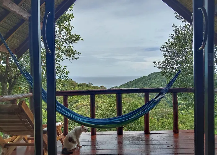 Tree House Bungalows Ko Tao
