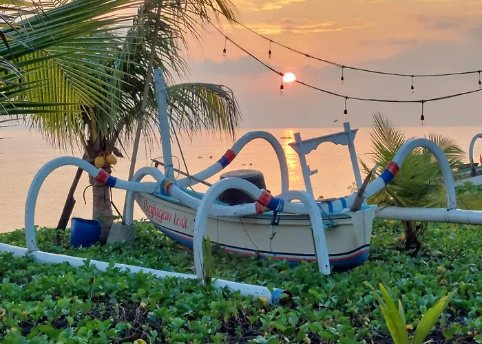 Yogi Beach Cabin Amed