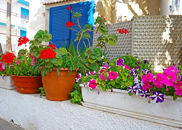 Green Bungalows Hotel Apartments Agia Napa