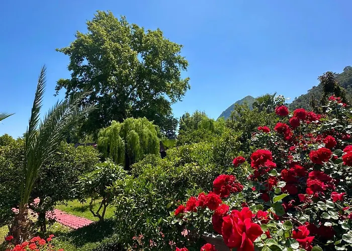 Ceylan Bungalow Çıralı