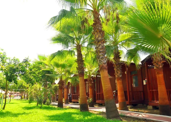 Dream Park Bungalow Titreyengol