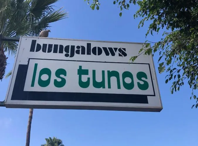 Los tunos campo internacional Villa Maspalomas 